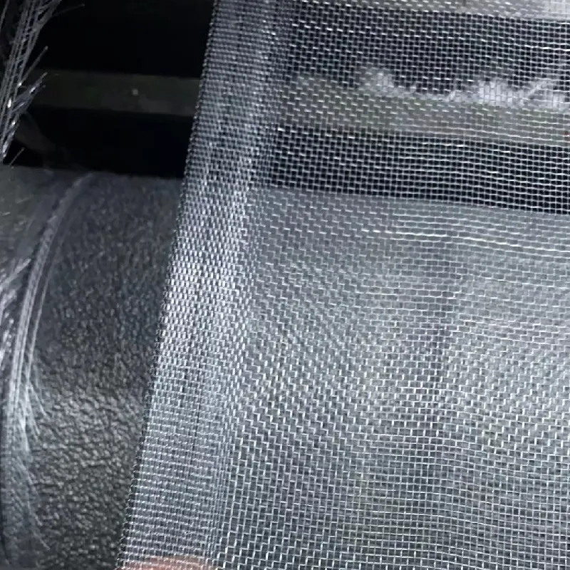 bug net for food