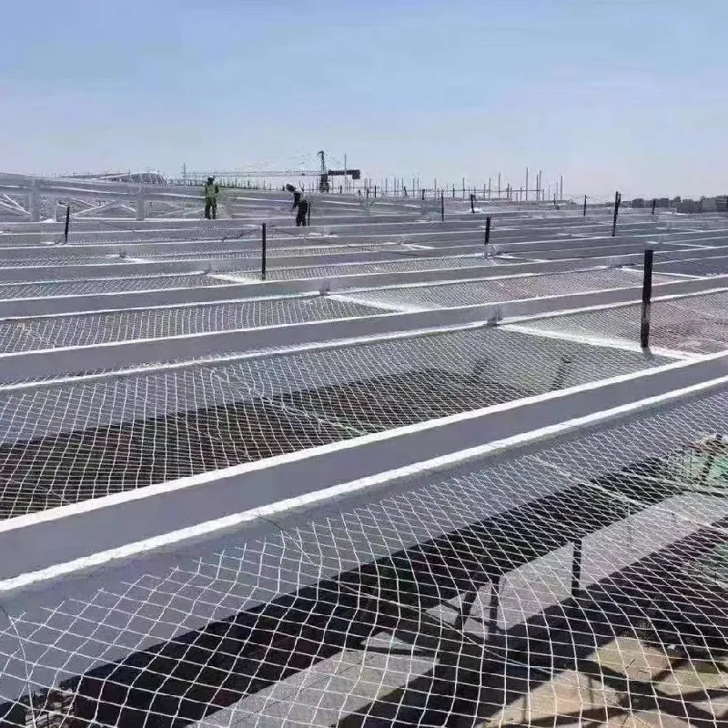 Effective Strategies for Installing Bird Prevention Netting to Protect Crops and Property