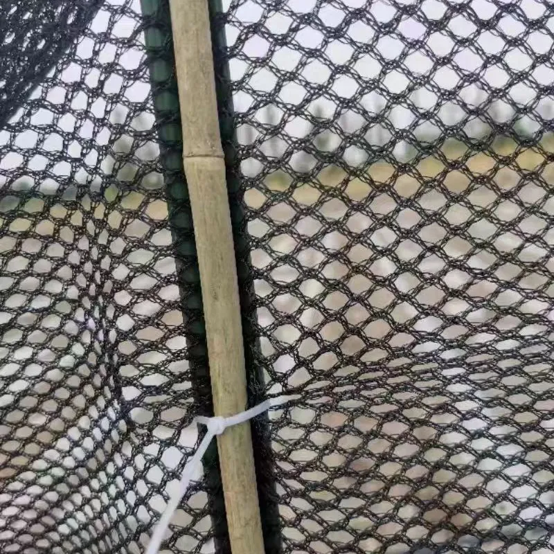 Effective Bird Deterrent Solutions for Solar Panel Protection and Longevity in Renewable Energy Systems