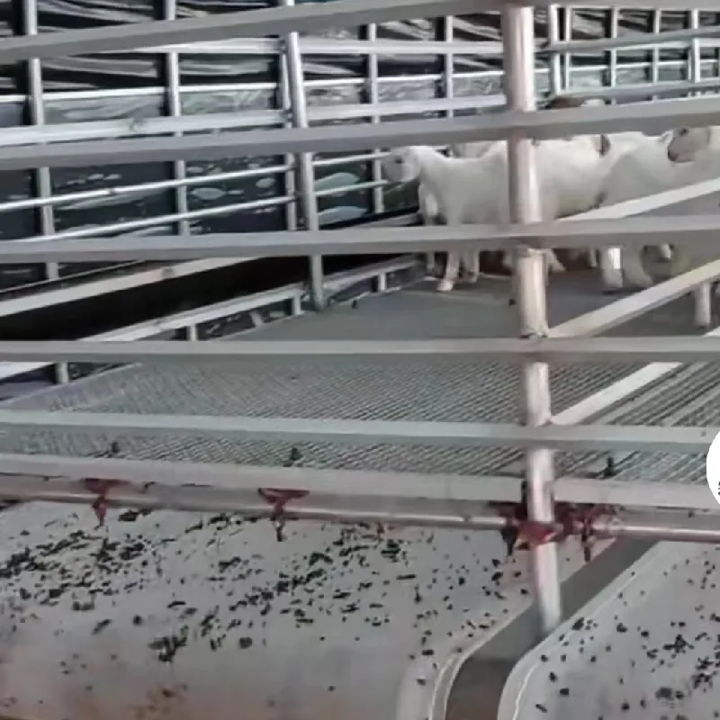 Types and Benefits of Welded Fences for Security and Aesthetics