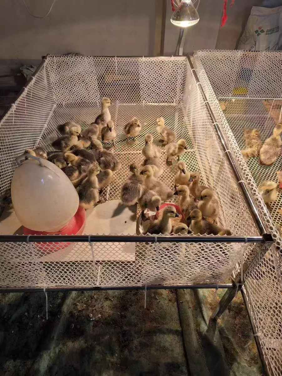 Εξειδικευμένο δίχτυ νάιλον 500 μicron για βιομηχανικές εφαρμογές και φιλτράρισμα