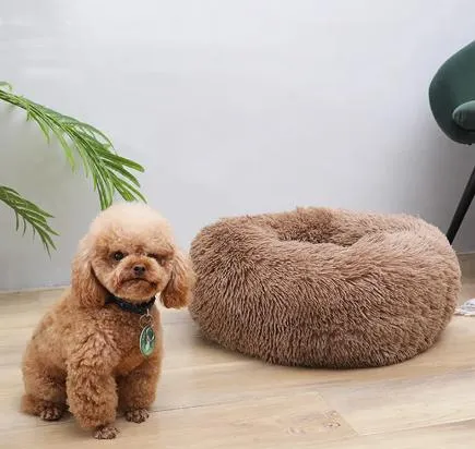 Custom Wooden Pet Houses Tailored to Your Pet’s Personality