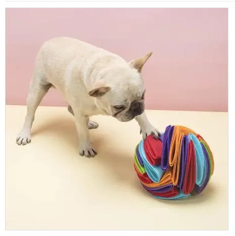 Snuffle Ball Benefits for Dogs Mental Stimulation and Exercise