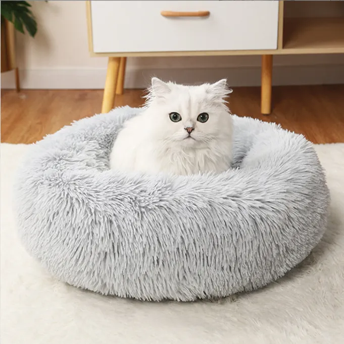 The Perfect Sleep for Your Dog