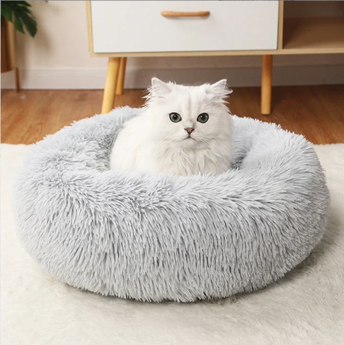 The Perfect Sleep for Your Dog