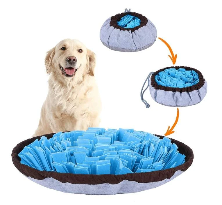 Unleash Your Dog’s Playful Side