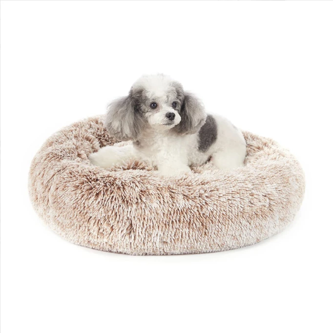 Keep Your Pet Safe and Comfortable with the Best Pet House