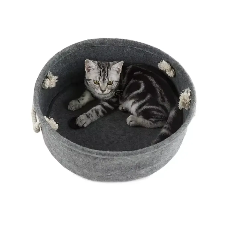 Find the Perfect Cat Bed: Custom and Handmade Options