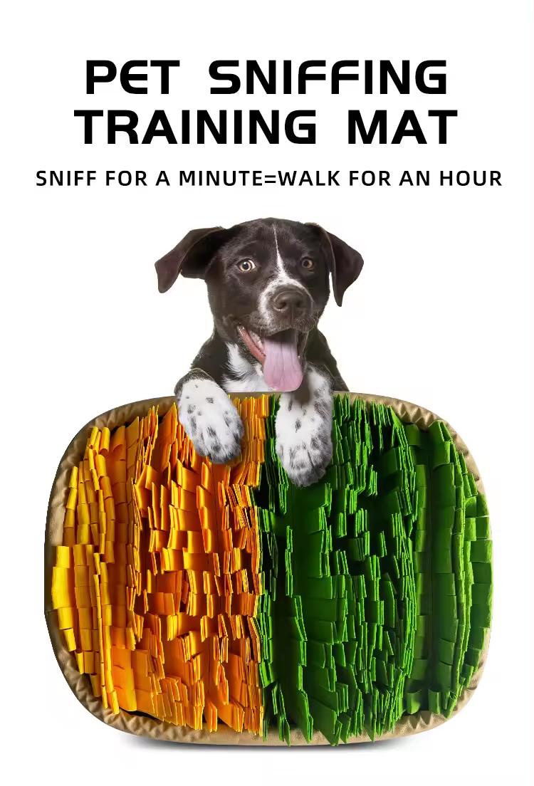 dog treat puzzle mat