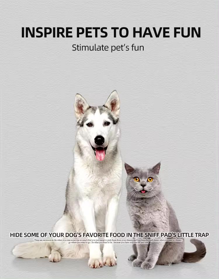 Creative Solutions for Your Pets A Guide to Junior's Pet Innovations Creative Solutions for Your Pets A Guide to Junior's Pet Innovations