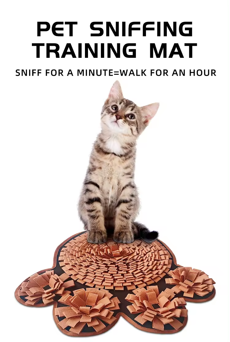 cool soundproof panels