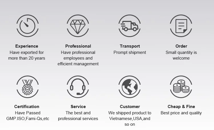 Sound Absorption Solutions Using Polyester Fiber Acoustic Panels for Enhanced Noise Reduction