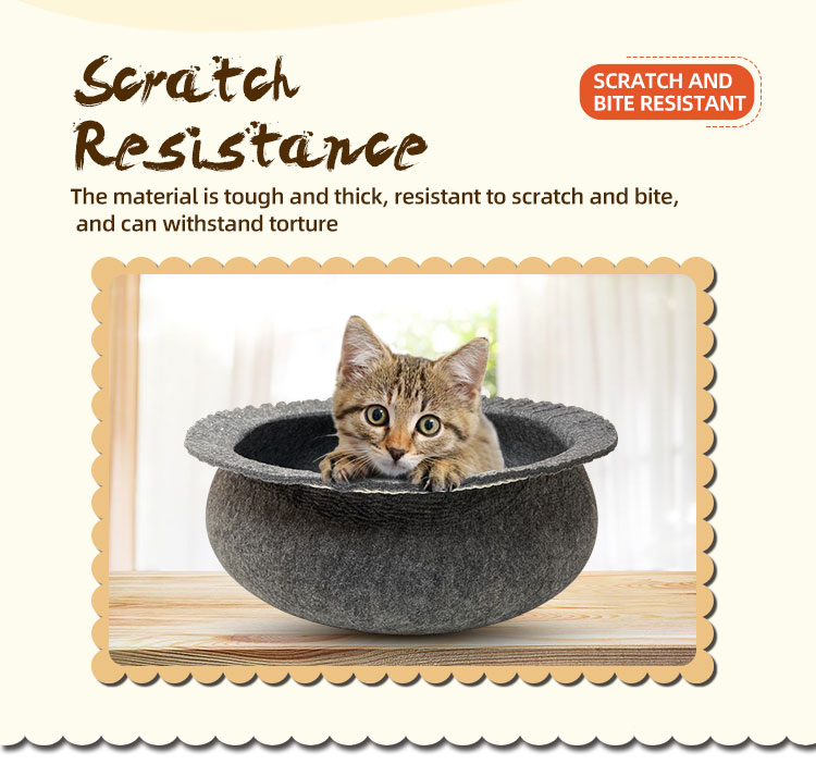 Optimizing Feeding for Dogs with Innovative Snuffle Bowl Designs and Benefits