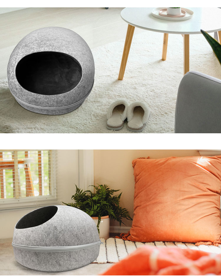 El perro cubrió el sofá con una manta