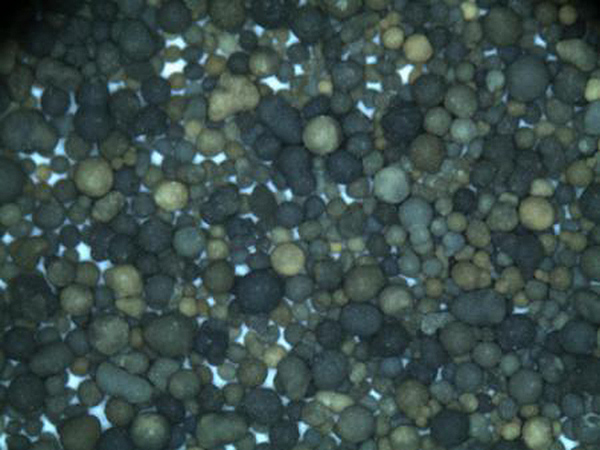 Golden Shores of Tranquility and Adventure for Ultimate Relaxation and Exploration