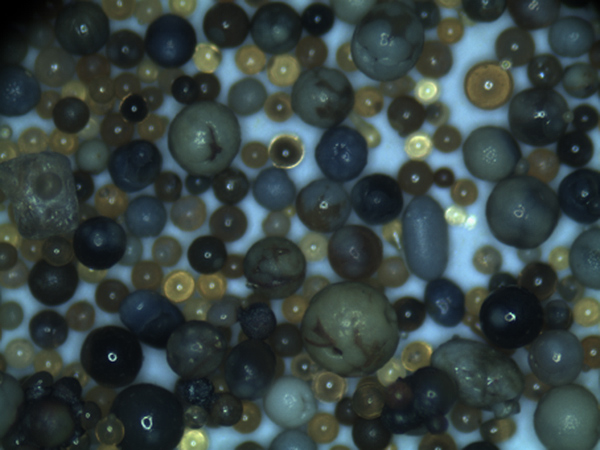 Trends and Insights on Golden Sands Pricing for 2023 Trends and Insights on Golden Sands Pricing for 2023