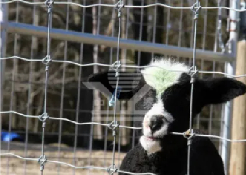 Efficient Cable and Wire Granulator Machine for Recycling and Material Recovery Solutions Efficient Cable and Wire Granulator Machine for Recycling and Material Recovery Solutions