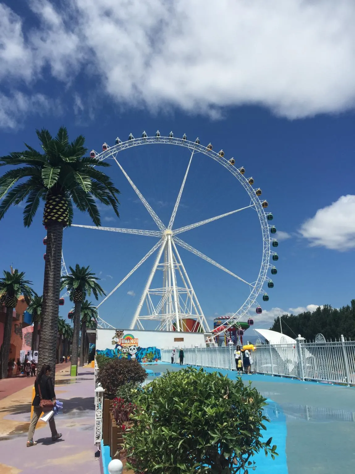 Experience the Thrill of an Observation Wheel