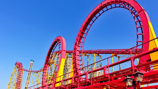 Giant Observation Wheel Experience at the Amusement Park