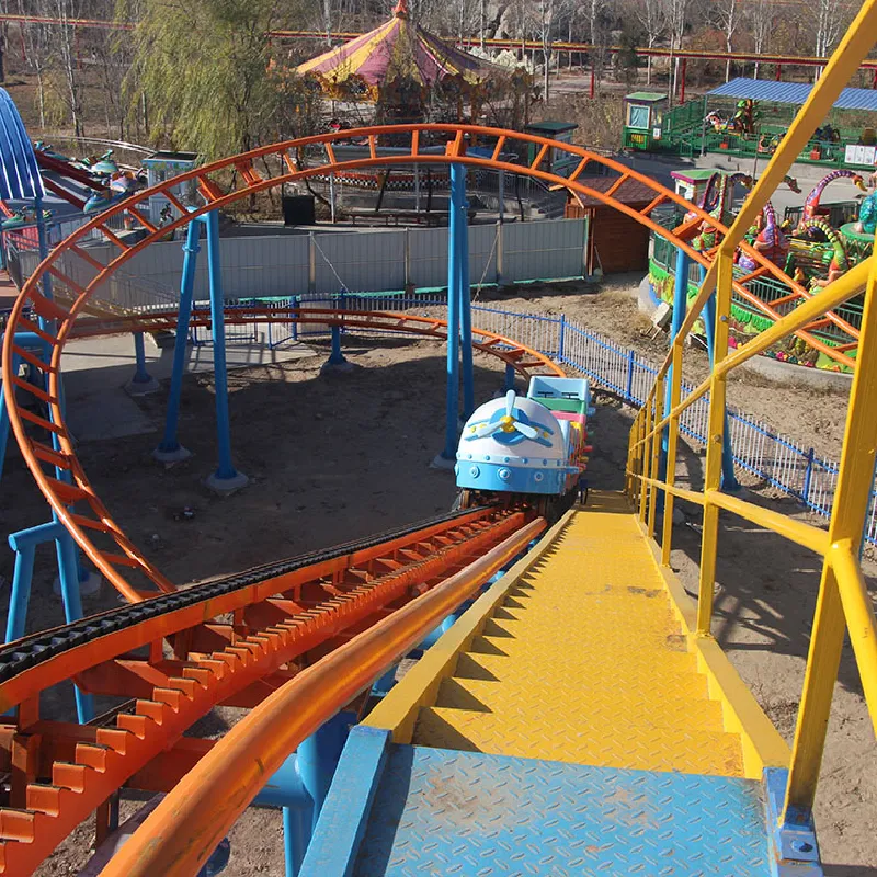 roller coaster and ferris wheel roller coaster and ferris wheel