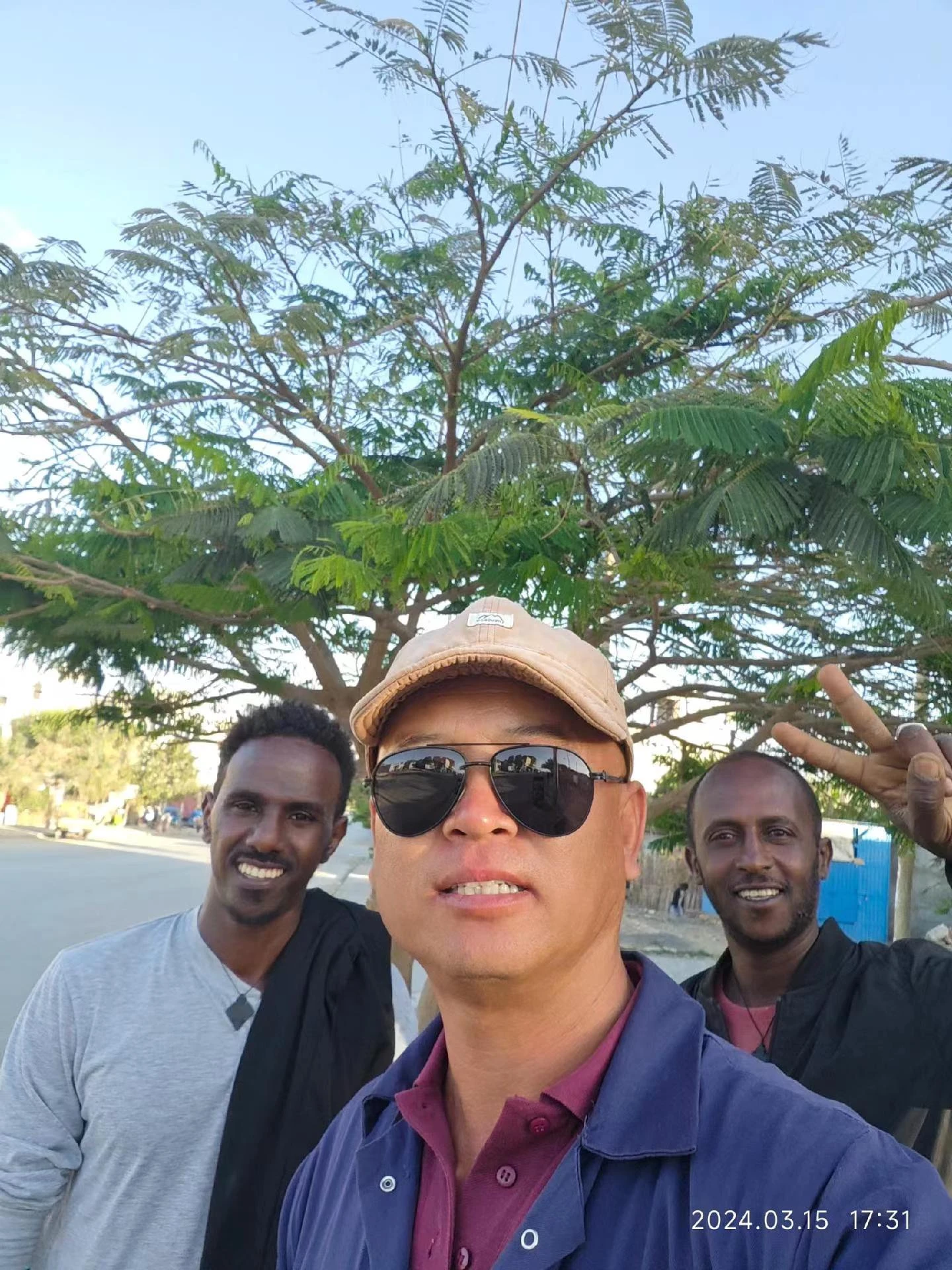 Exploring Different Varieties of Roller Coaster Designs and Experiences