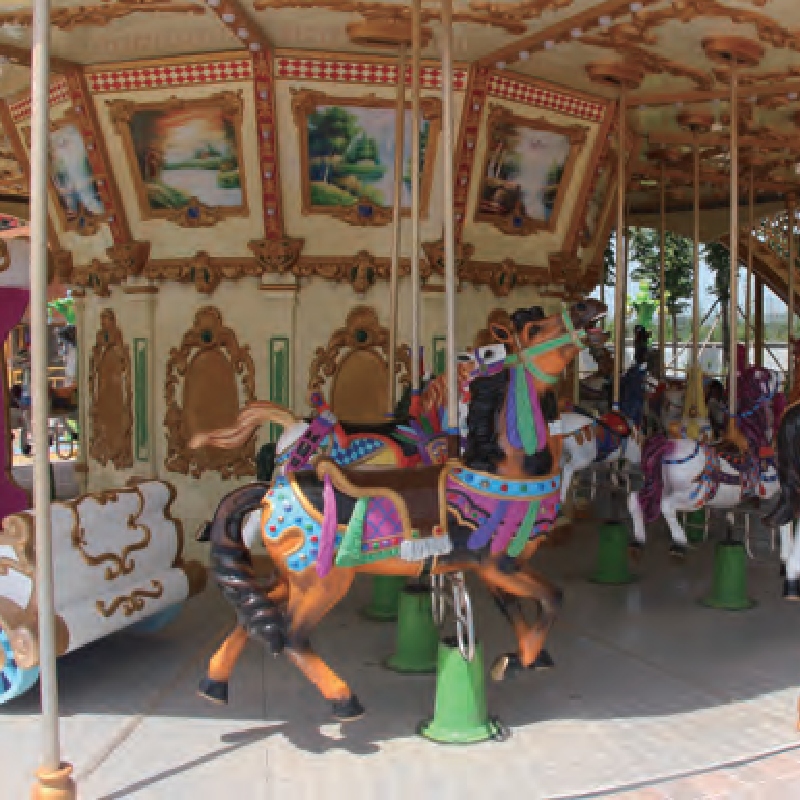 mountain top roller coaster mountain top roller coaster