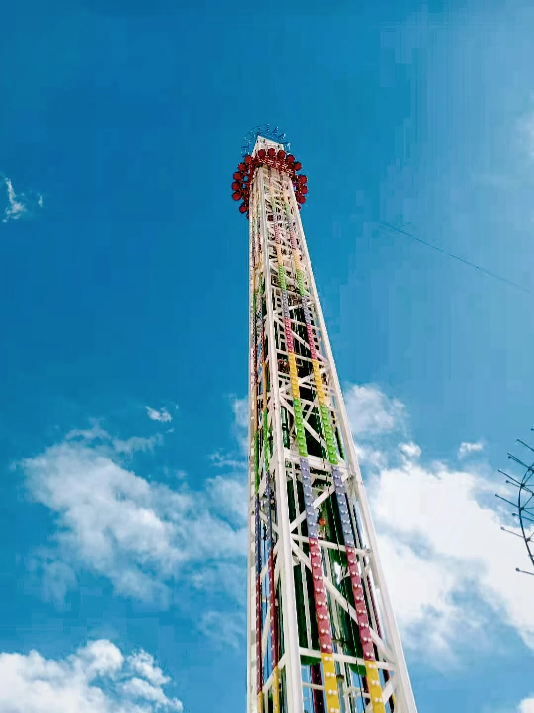 Experience the Thrill of the Giant Observation Wheel!