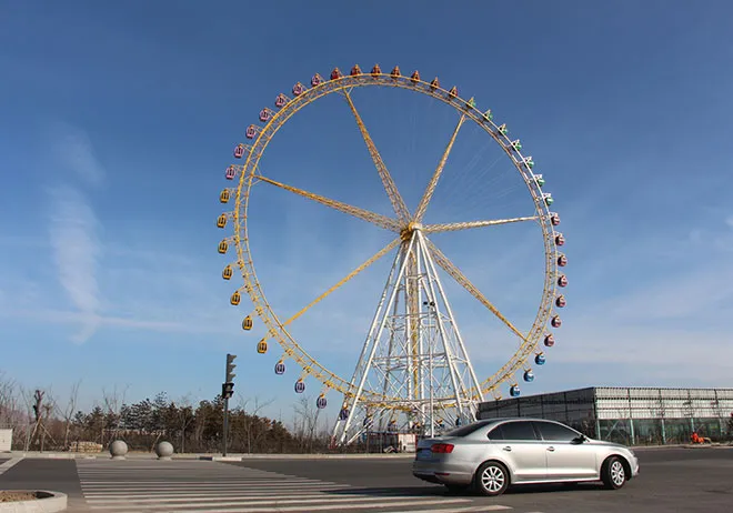 Exploring the Thrills of Steel Roller Coasters and Their Amazing Designs