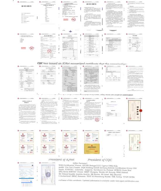 waterslide ferris wheel
