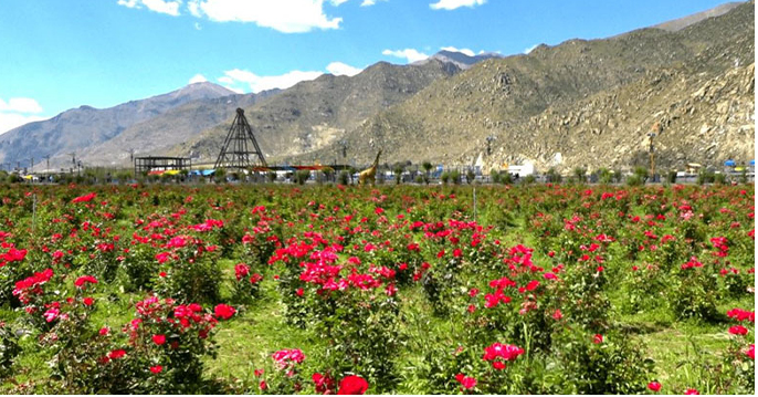 sketch of a roller coaster sketch of a roller coaster