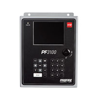 A Journey Through the Whirling Beauty of the Ferris Wheel Experience