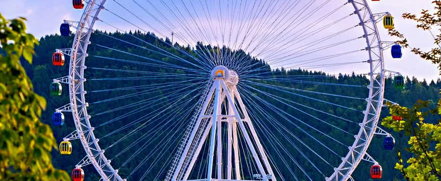 The Enchanted Carousel of Dreams and Wonders