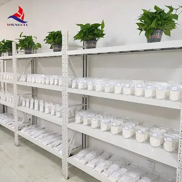 Exploring the Impact of HEC on Sustainable Development and Environmental Management Strategies