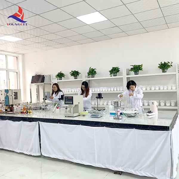 Chemical Chemicals Raw Materials Mhec Manufacturer Good Quality Sales MHEC Cellulose Coating