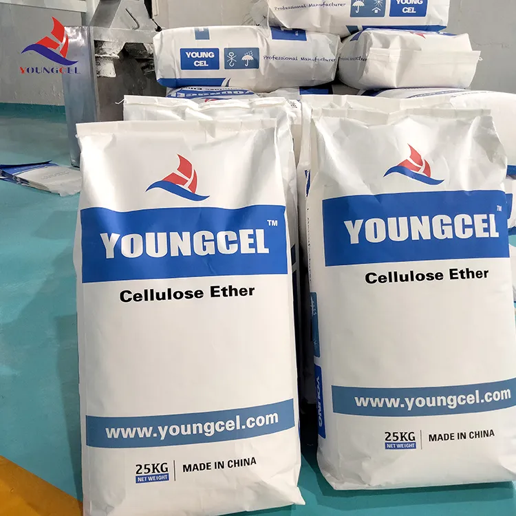 Building Coating Adhesive HPMC