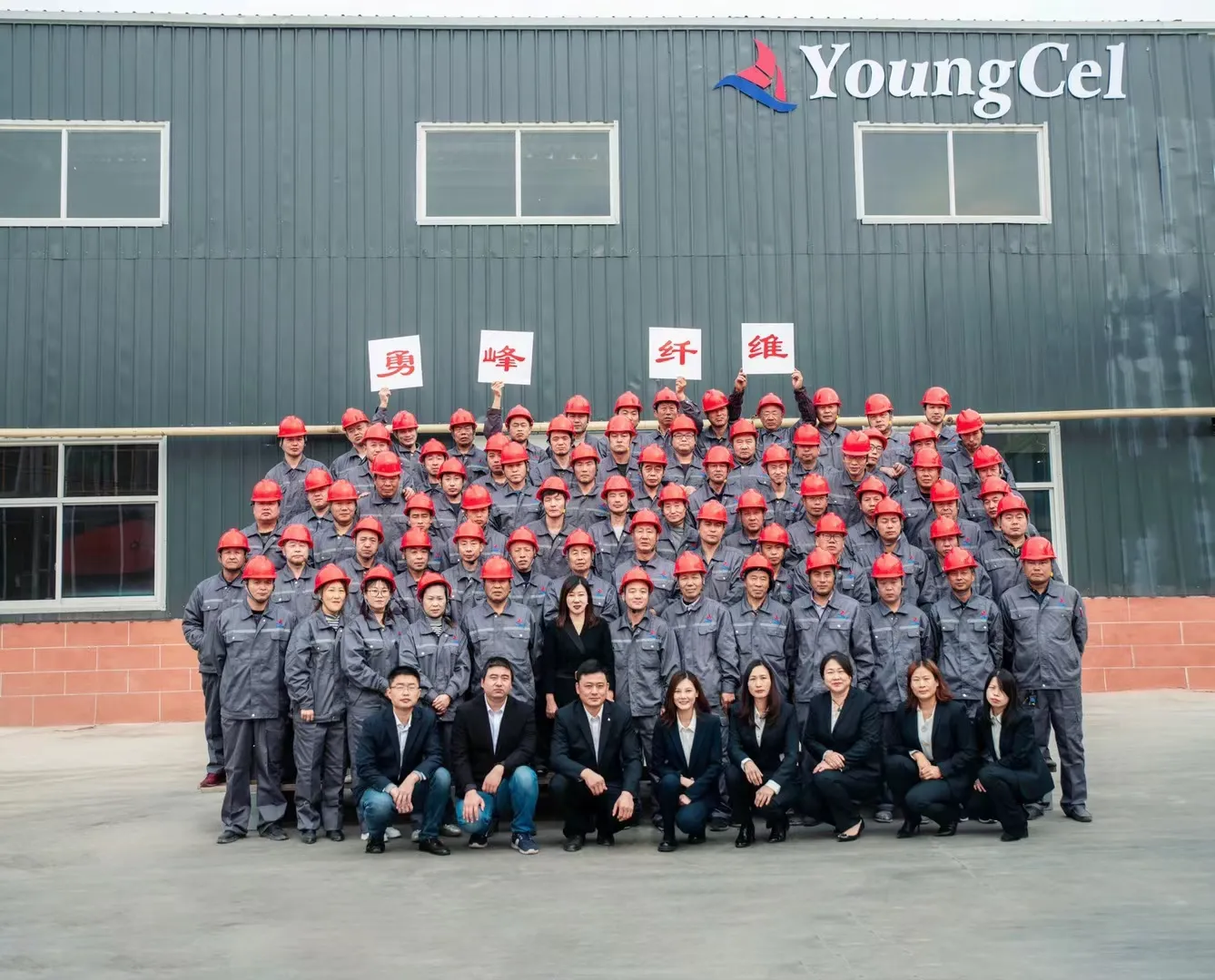 cellulosa esther (hpmc)