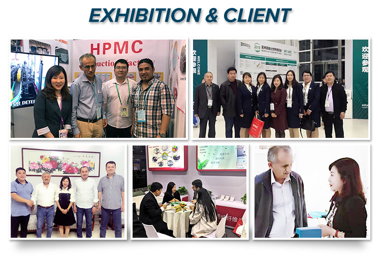 YOUNGCEL Hydroxy Propyl Methyl Cellulose | High-Performance HPMC K100M