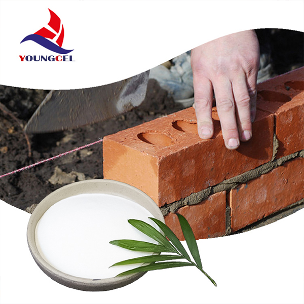 carboxymethyl cellulose carboxymethyl cellulose