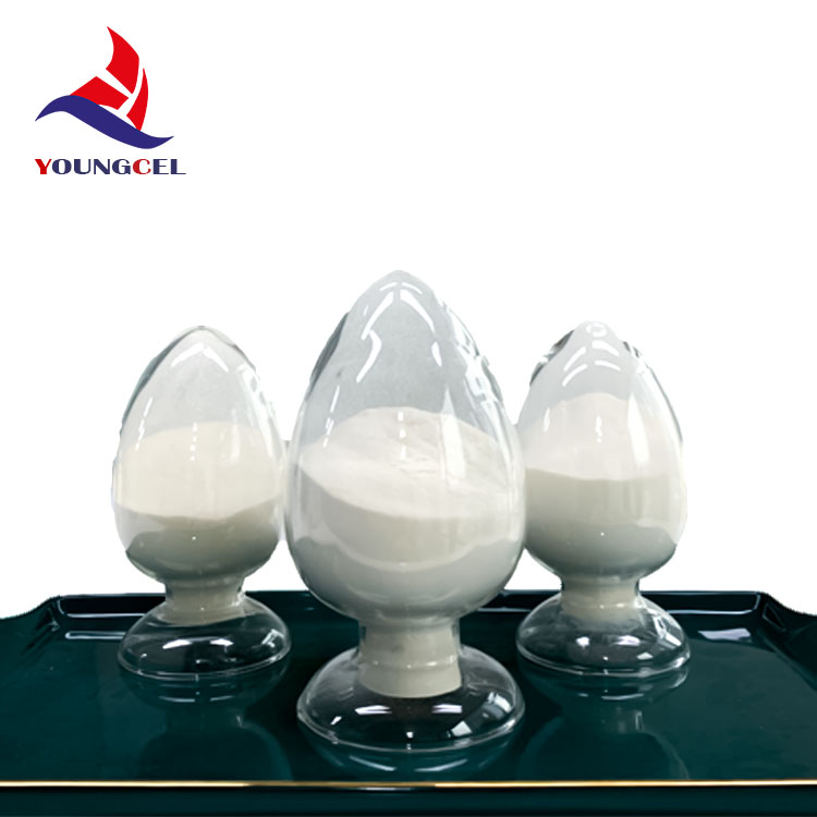 Exploring the Influence of Higher Education on Career Advancement and Personal Development Opportunities