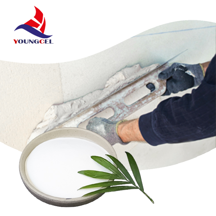 building coating adhesive hpmc