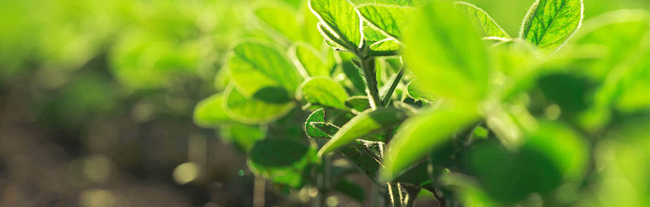 Understanding the Benefits and Applications of Metric Pipe Couplings in Plumbing Systems