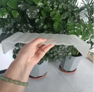 Unique Glass Solutions with ShottGlass