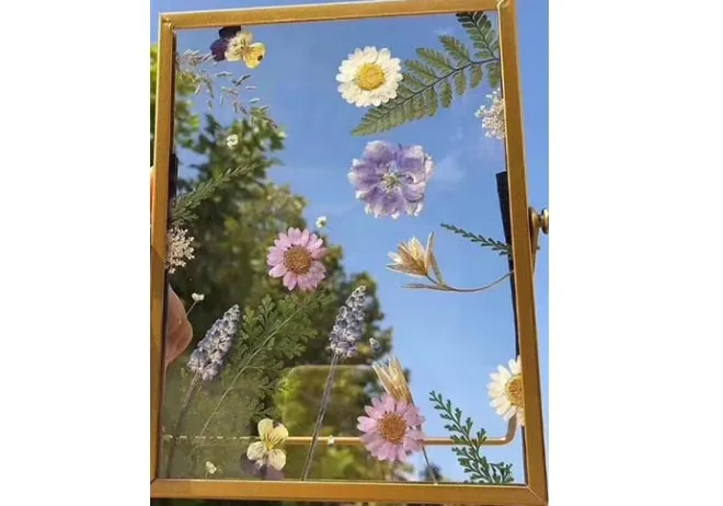 Unique Types of Glass and Their Distinctive Features for Various Applications