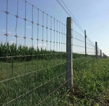 The Role of Field Wire Fence in Grassland Conservation