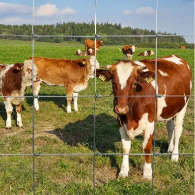 Field Fencing: Secure Your Property with the Best Solutions