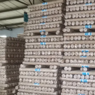 Galvanized Welded Wire Mesh: A Durable and Versatile Solution