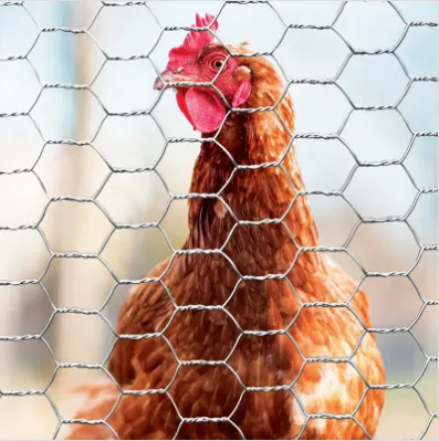 Understanding the Uses and Benefits of Hexagonal Wire Netting