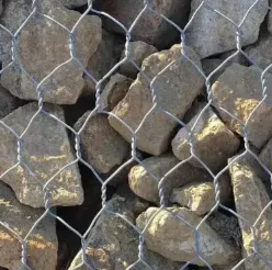 Hexagonal Wire Mesh Erosion Control on Riverbanks