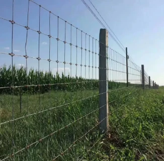 Enhancing Home Security with Mesh Fences