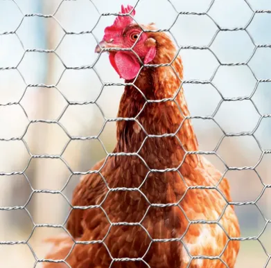 Hexagonal Wire Mesh: Versatile and Durable Solutions for Every Project Hexagonal Wire Mesh: Versatile and Durable Solutions for Every Project